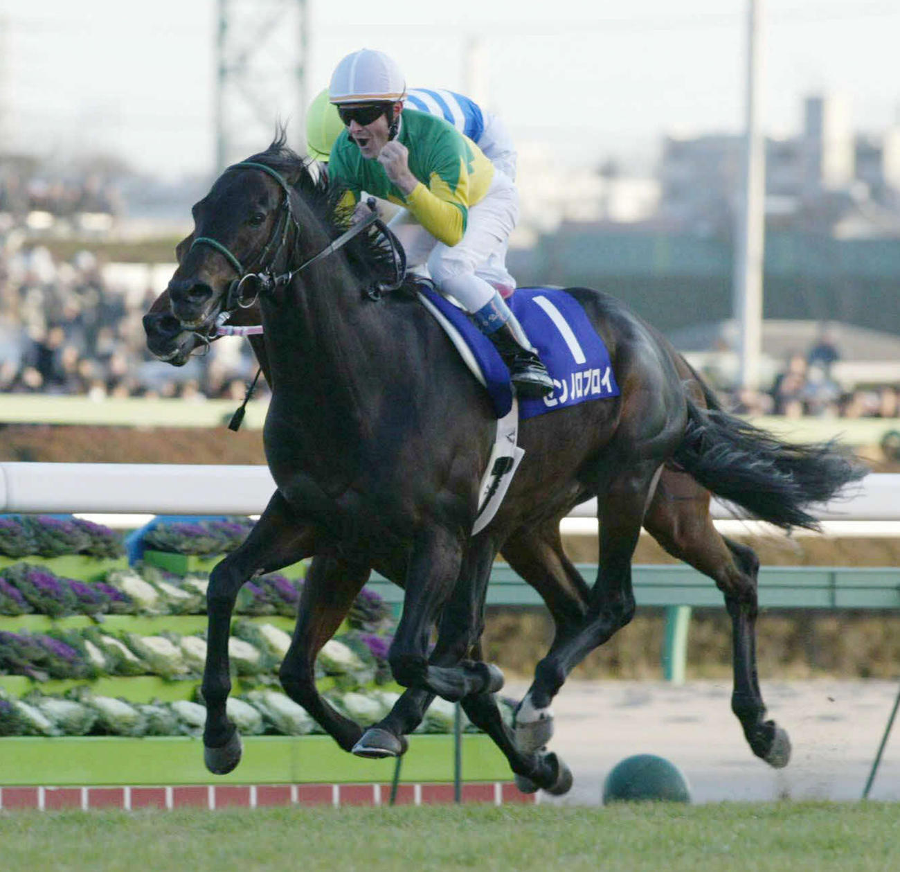 04年の有馬記念を制したゼンノロブロイ