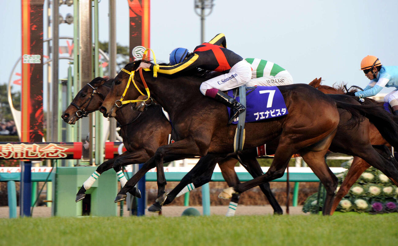 直線を抜け出したヴィクトワールピサ（左）はブエナビスタ（手前）の猛追をハナ差抑え有馬記念を制した（2010年12月26日撮影）