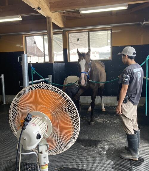 珠洲ホースパークに完成した新厩舎（角居氏提供）