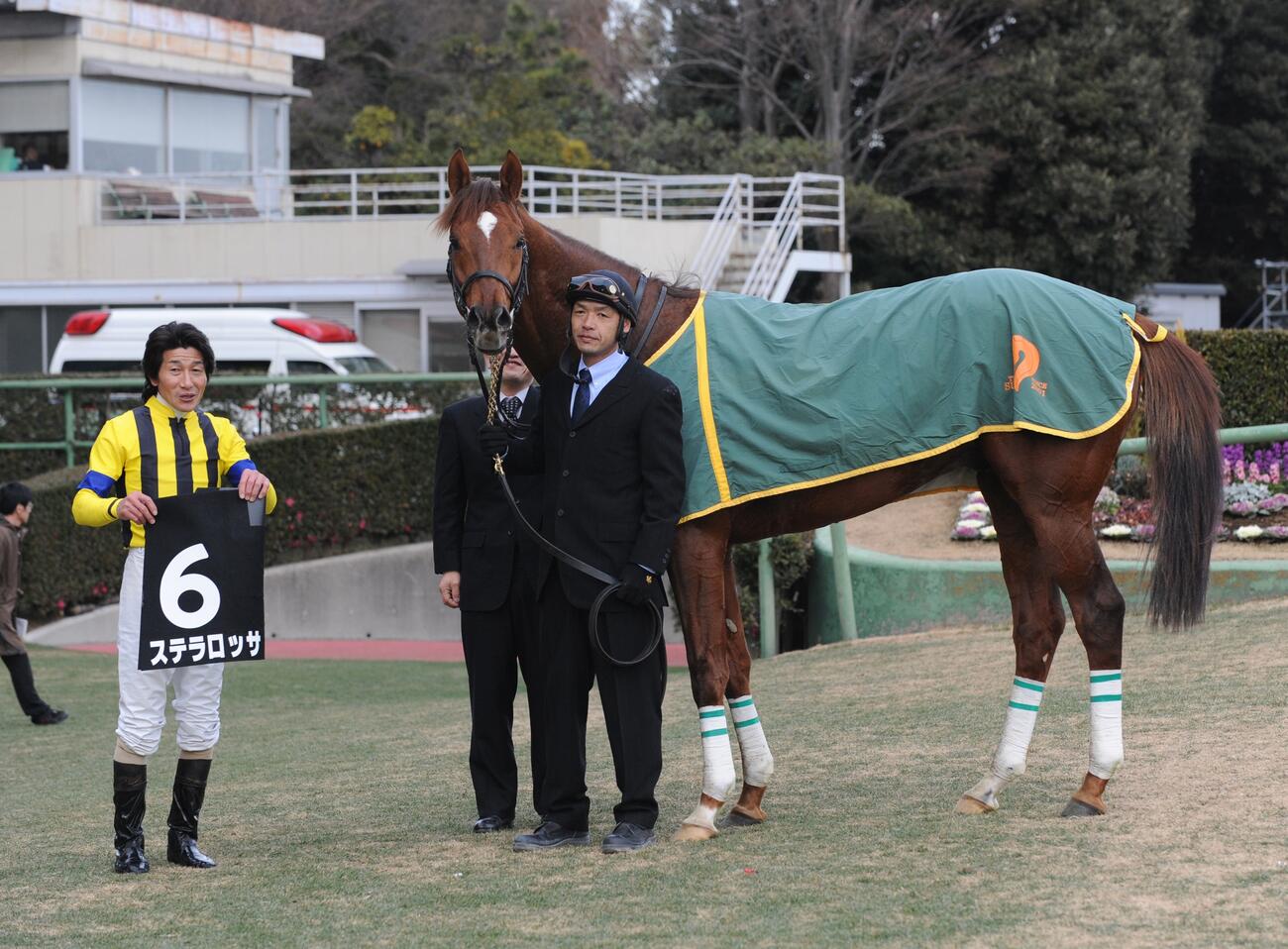 2013年1月、中山競馬10R、初富士Sを快勝したステラロッサと柴田善臣騎手