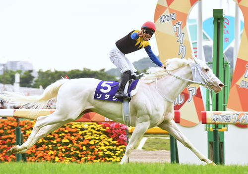 ヴィクトリアMを制したソダシとガッツポーズする吉田隼騎手（撮影・柴田隆二）