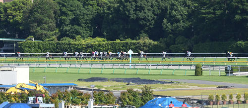 向こう正面で中団の後ろにつけるドウデュース(右から4頭目)