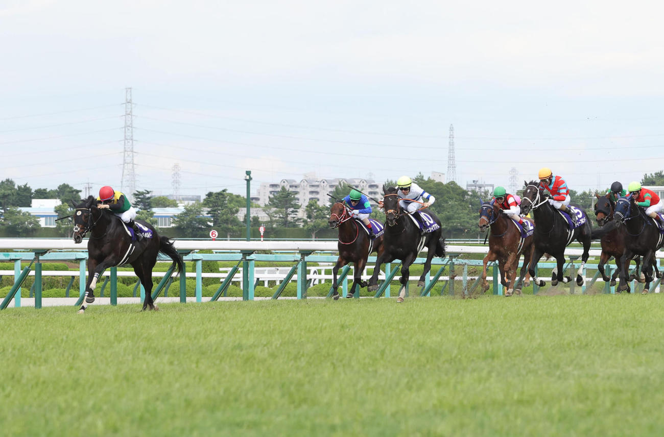 直線力強く抜け出し、コースレコードで宝塚記念を制したタイトルホルダー（左端）（撮影・白石智彦）