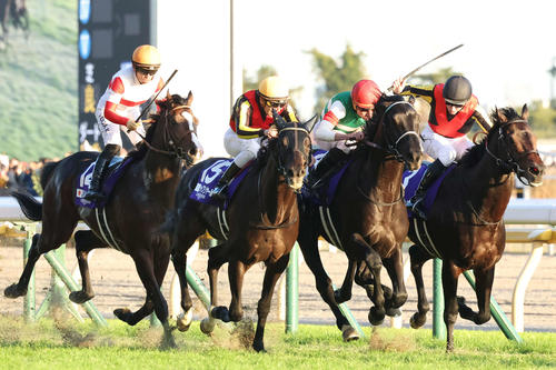 直線鋭く伸びてジャパンCを制したヴェラアズールとムーア騎手（右から2頭目）（撮影・丹羽敏通）