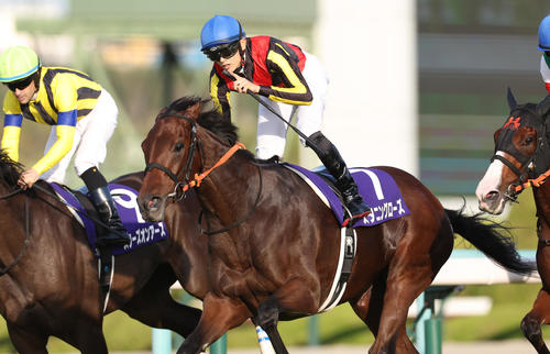 22年10月、スタニングローズで秋華賞を制した坂井瑠星騎手