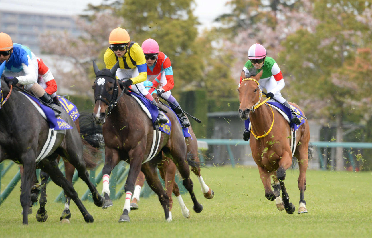 14年桜花賞で4角を後方から進出するハープスター（右端）