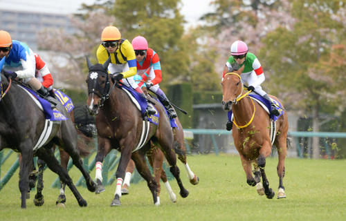 14年桜花賞で4角を後方から進出するハープスター（右端）