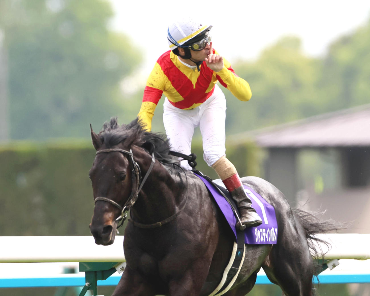 天皇賞・春を制したC・ルメール騎手とジャスティンパレス（撮影・加藤哉）