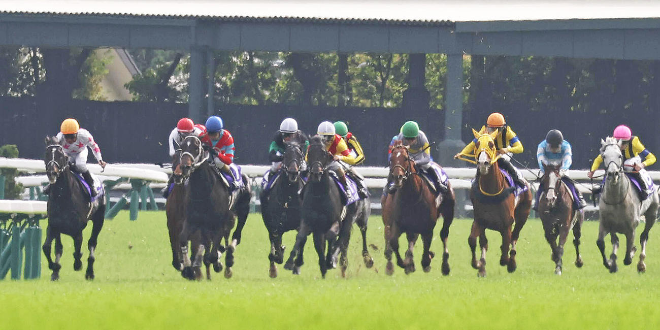 4角出口で抜け出すジャスティンパレス（中央）（撮影・白石智彦）