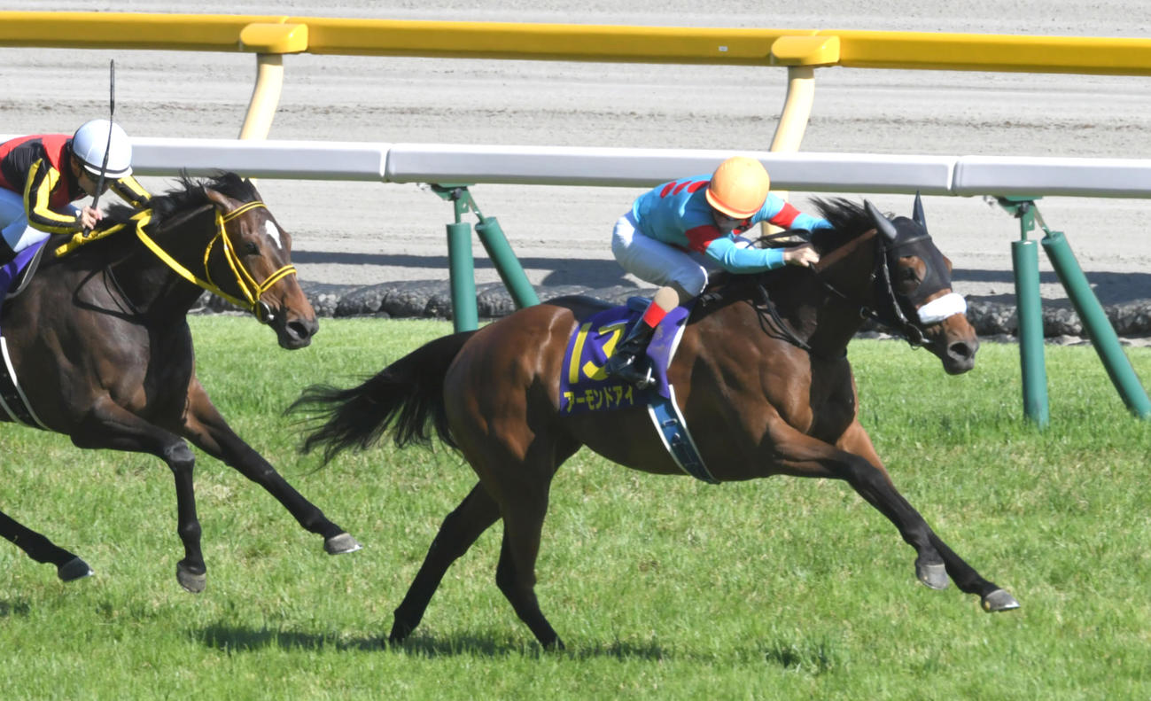 ルメール騎手は後ろを振り返る余裕も。18年オークスで快勝のアーモンドアイ