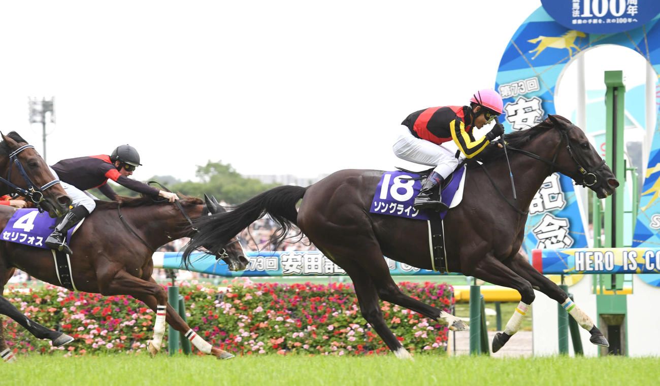 安田記念を制したソングライン（右）、2着セリフォス（撮影・柴田隆二）