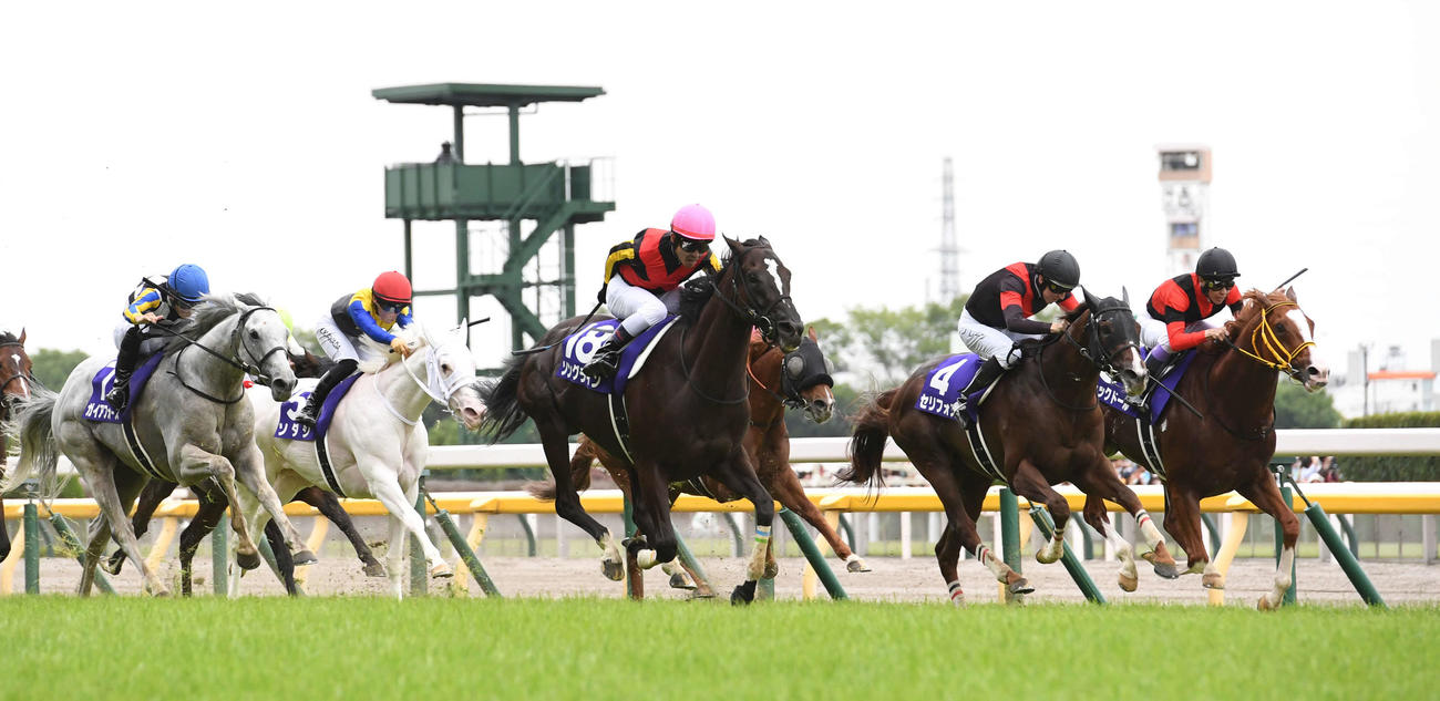 安田記念を制したソングライン（中央）、右から5着ジャックドール、2着セリフォス、左から4着ガイアフォース、7着ソダシ（撮影・柴田隆二）