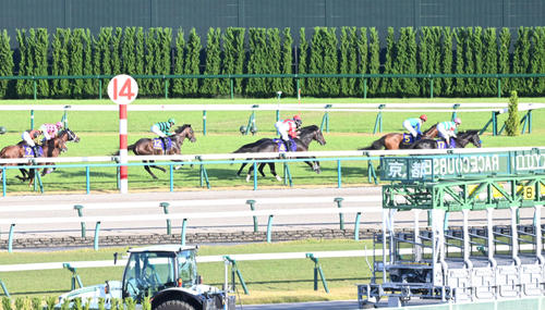 2コーナーから向正面でペースを落ち着かせるドゥレッツァのルメール騎手(右)(撮影・和賀正仁)