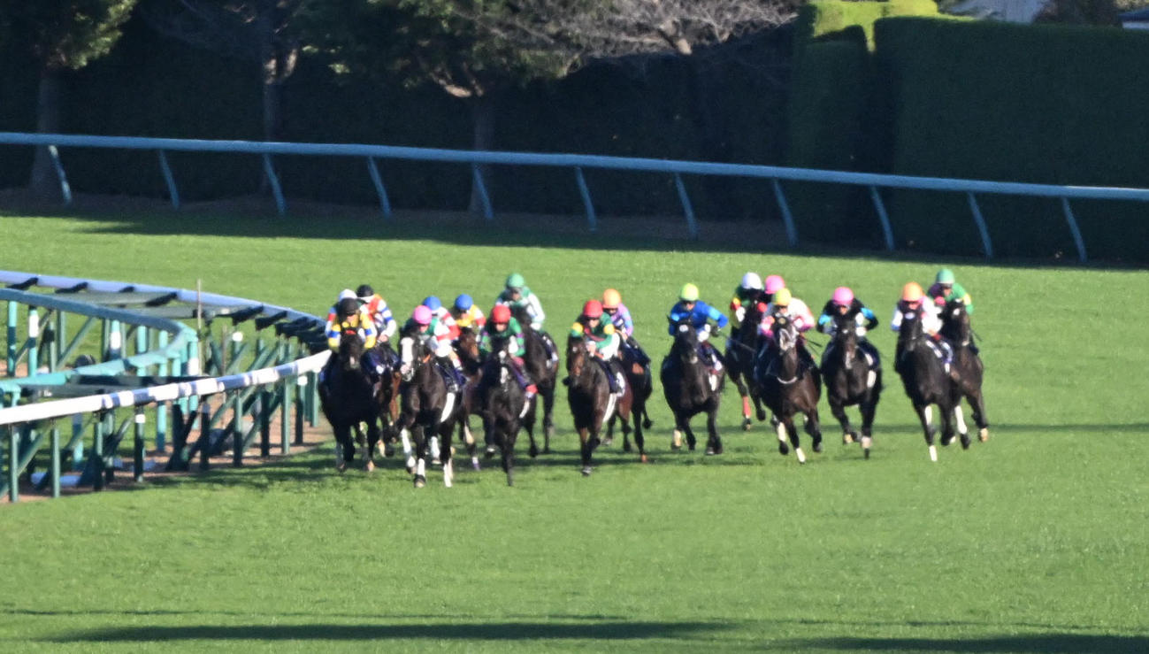 4角出口で最内から抜け出しにかかるジャンタルマンタル（左端）（撮影・和賀正仁）
