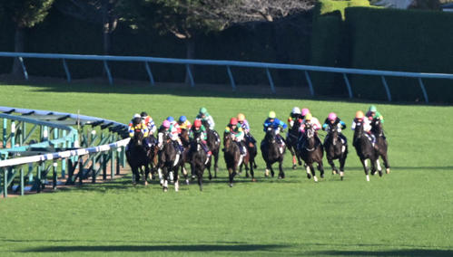 4角出口で最内から抜け出しにかかるジャンタルマンタル（左端）（撮影・和賀正仁）