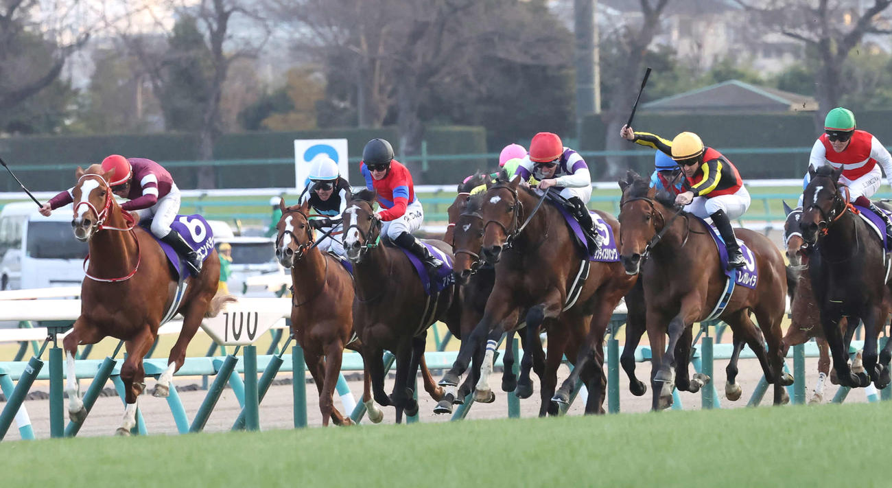 ホープフルSを制したレガレイラ（右から2頭目）とルメール騎手（撮影・丹羽敏通）