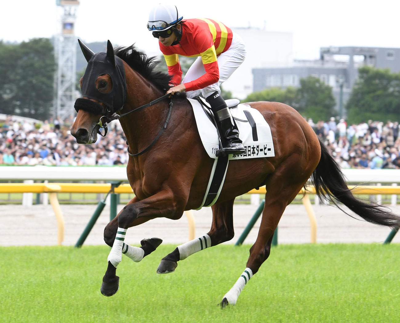 23年ダービーで4着に敗れたベラジオオペラと横山和生騎手