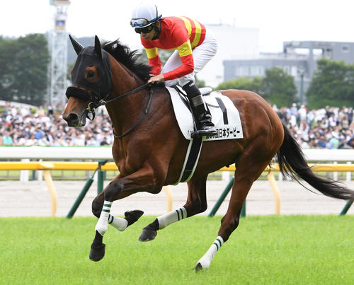23年ダービーで4着に敗れたベラジオオペラと横山和生騎手