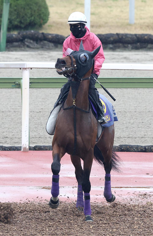 3日、ジャスティンミラノの皐月賞1週前追い切りで騎乗する藤岡康太騎手