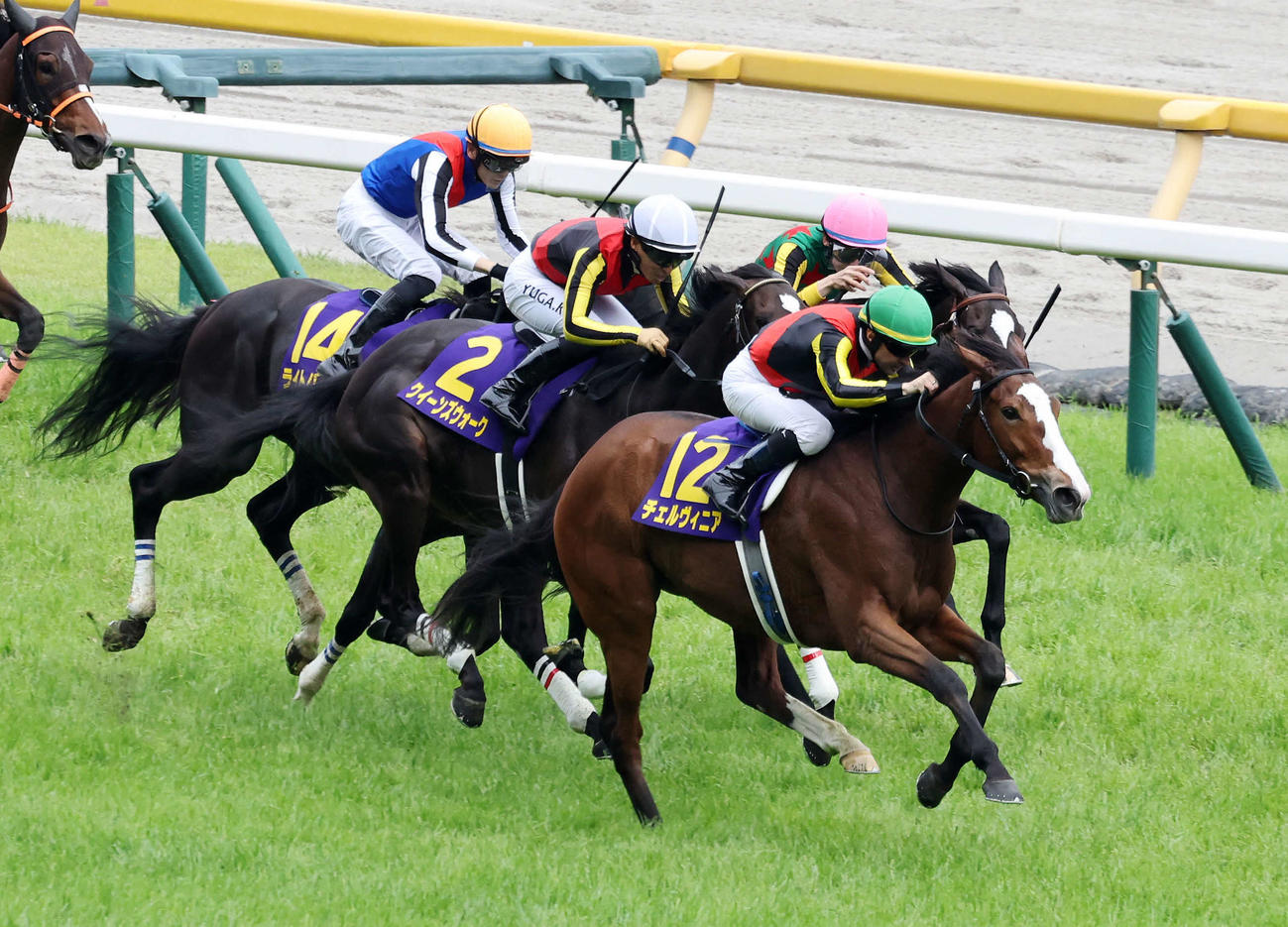 オークスを制したチェルヴィニア（手前）とルメール騎手（撮影・鈴木正人）