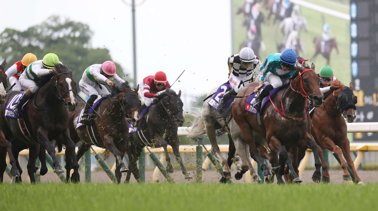 安田記念を制したロマンチックウォリアー（右から2頭目）（撮影・柴田隆二）