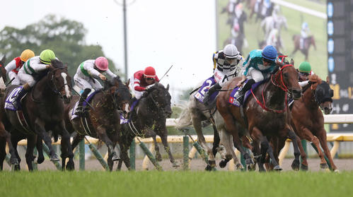 安田記念を制したロマンチックウォリアー（右から2頭目）（撮影・柴田隆二）