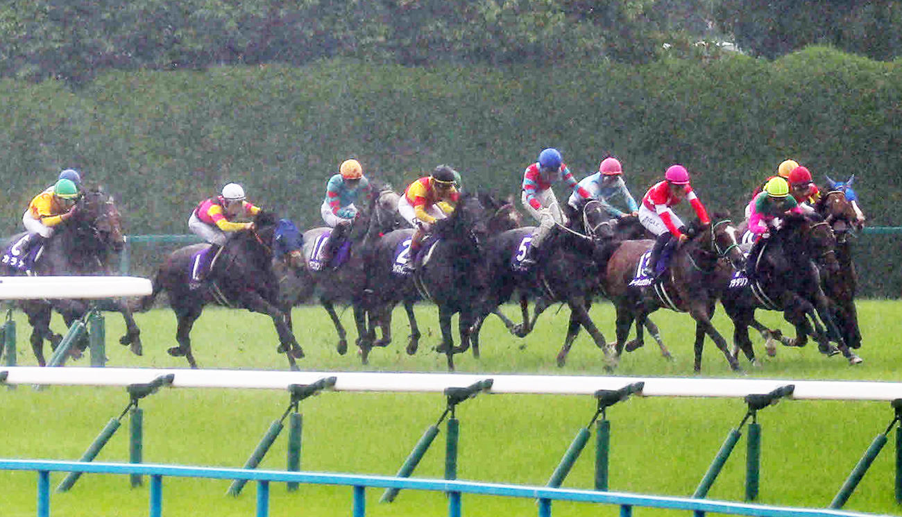4角を回るブローザホーン（右から5頭目）（撮影・宮崎幸一）