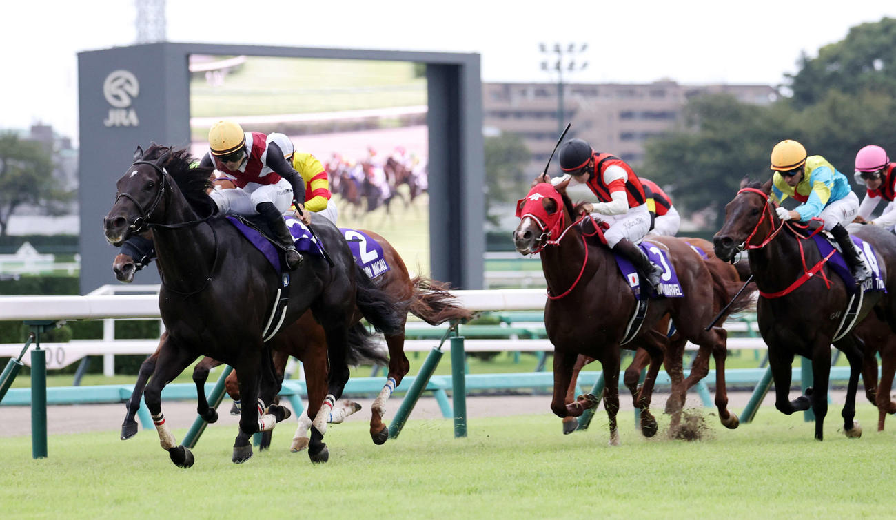 スプリンターSを制したルガル（左）と西村淳也騎手（撮影・鈴木正人）