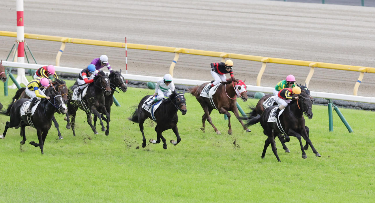 直線抜け出しダービーを制した北村友一騎乗のクロワデュノール（撮影・野上伸悟）