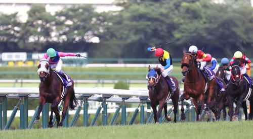 宝塚記念を制したメイショウタバルと武豊騎手（左）（撮影・宮崎幸一）