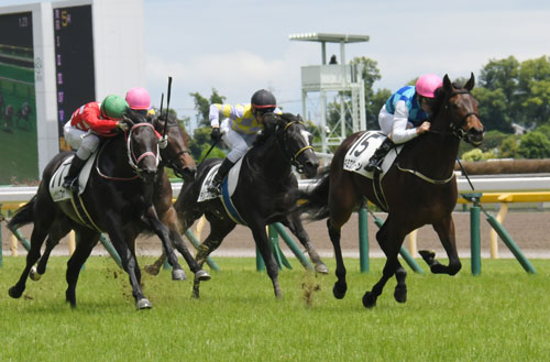 新馬戦では「頑張れ！真っ直ぐゴールまで」と声が出てしまいます。写真は昨年6月の新馬戦です