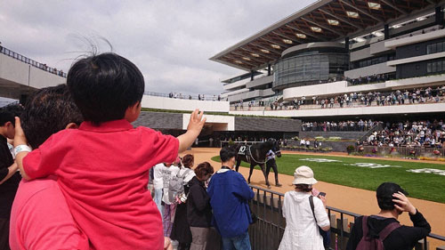 リニューアルされた京都競馬場に産駒と初出走してきました！