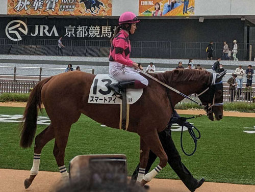 推し馬さんに乗る今村聖奈騎手です