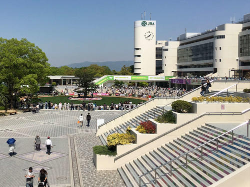 来年3月まで開催休止の京都競馬場。4月からはどうなる？
