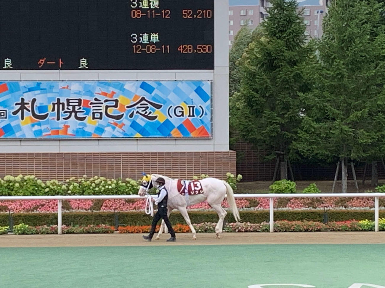 来週の札幌記念の指定席、当たりました！