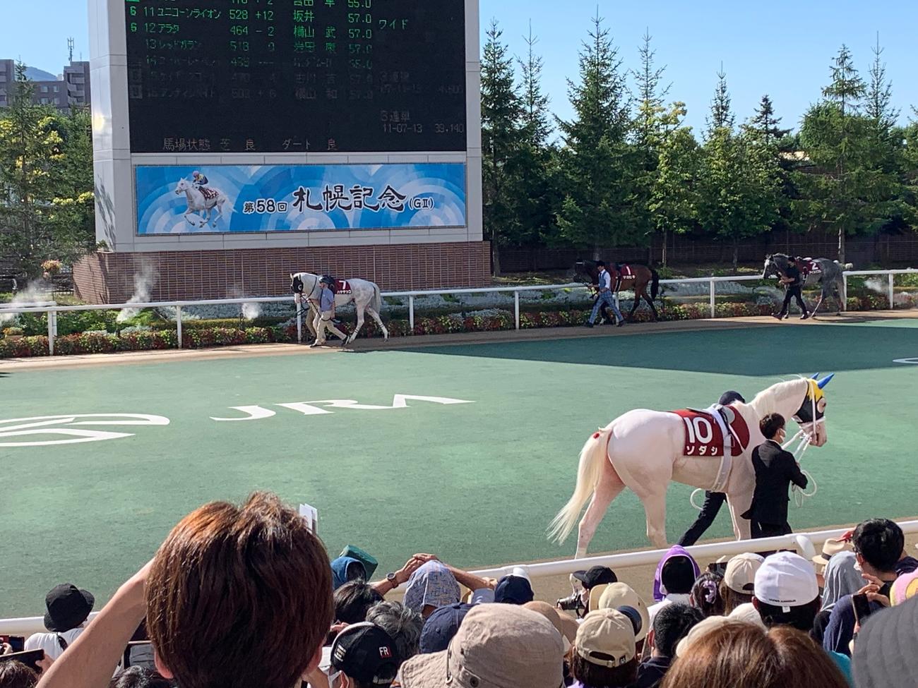 ソダシなめのハヤヤッコ（笑い）