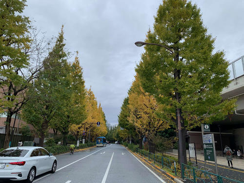 東京の秋の風景「千駄ヶ谷(せんだがや)」