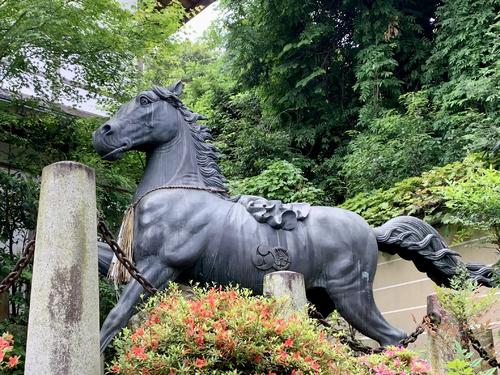 京都の神社で出会った神馬です