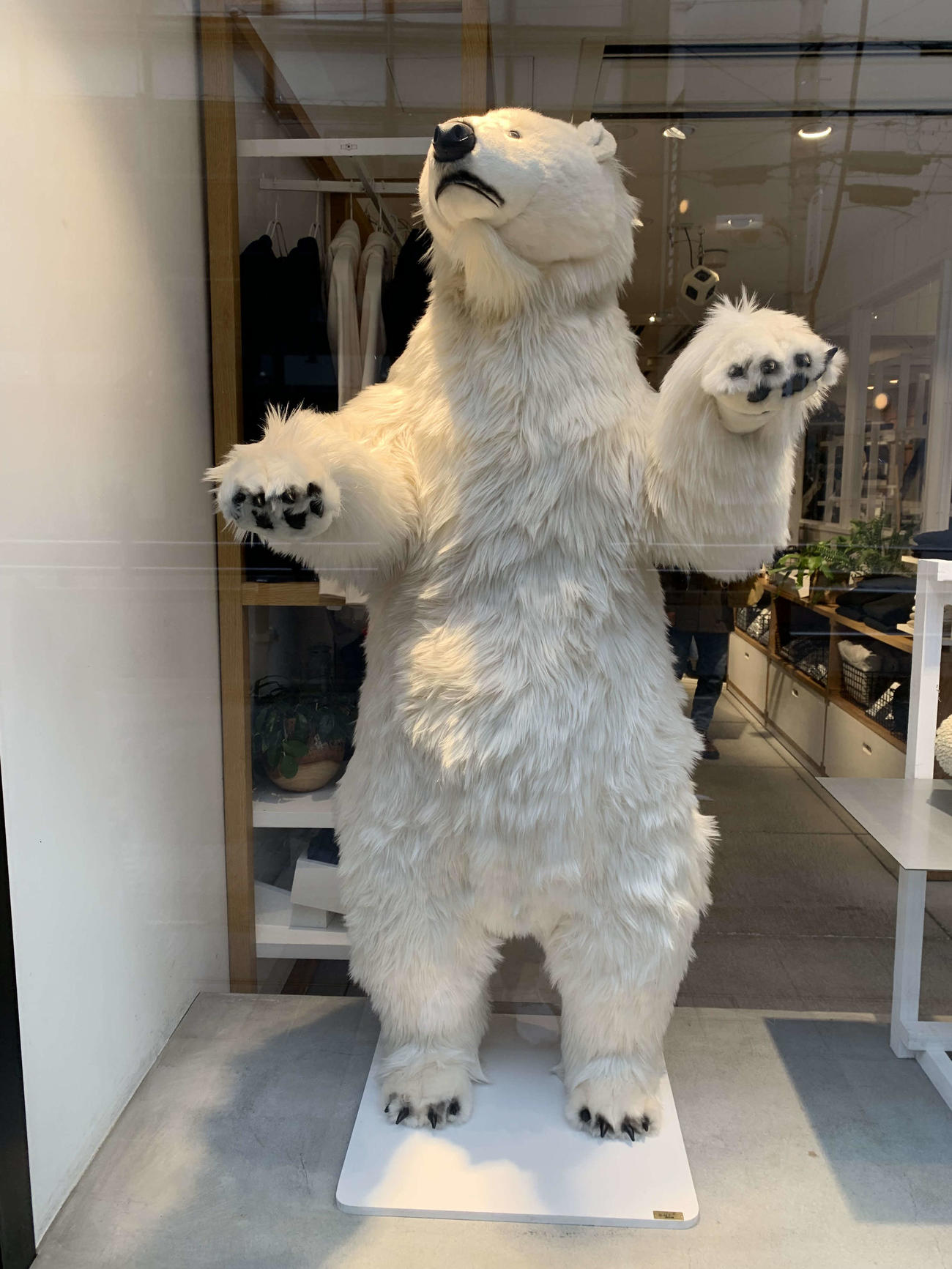 今週のラッキーカラー…「白」！