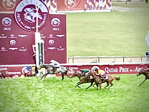 昨年の凱旋門賞はアルピニスタが優勝