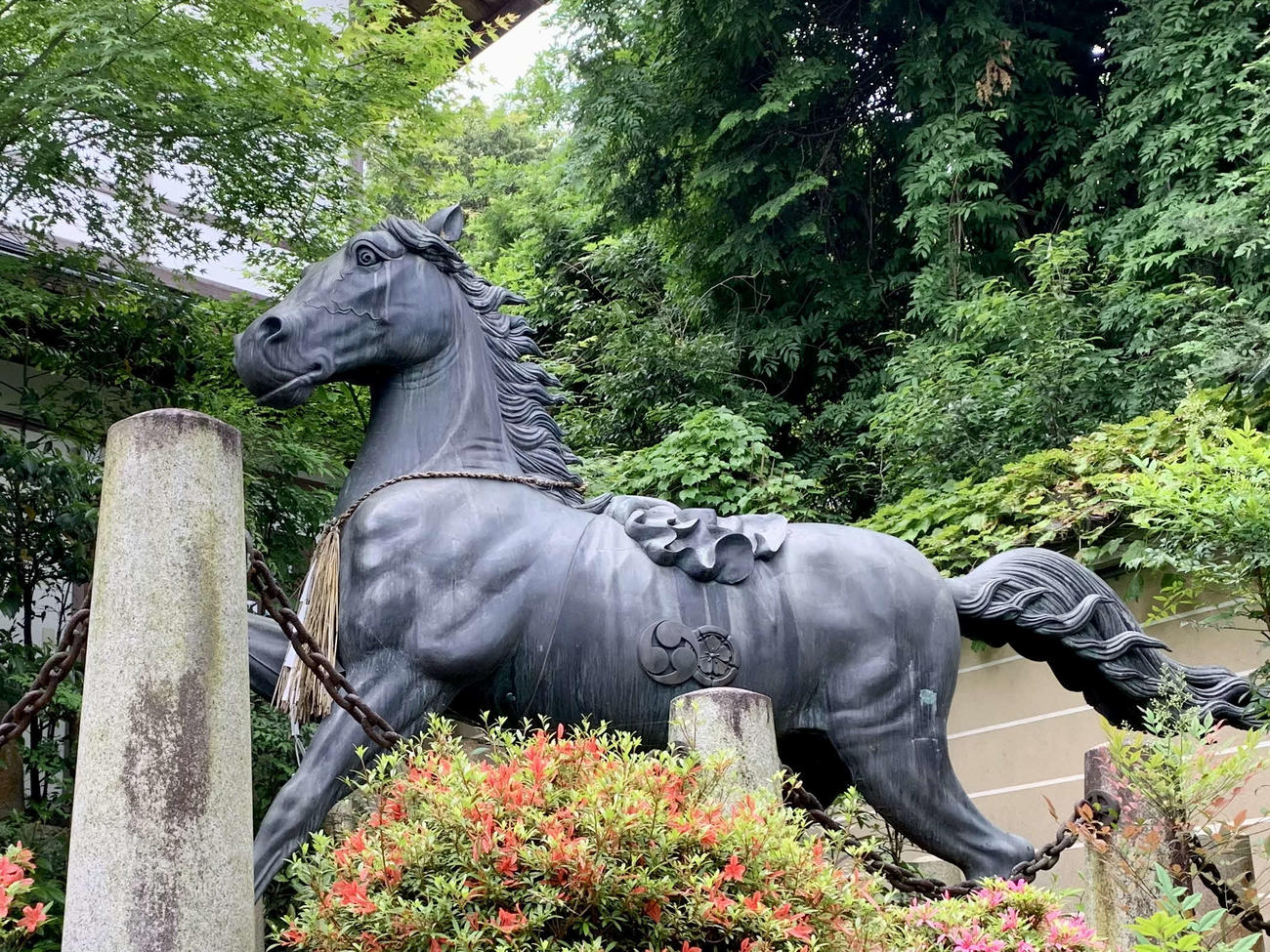 京都の蒼馬！