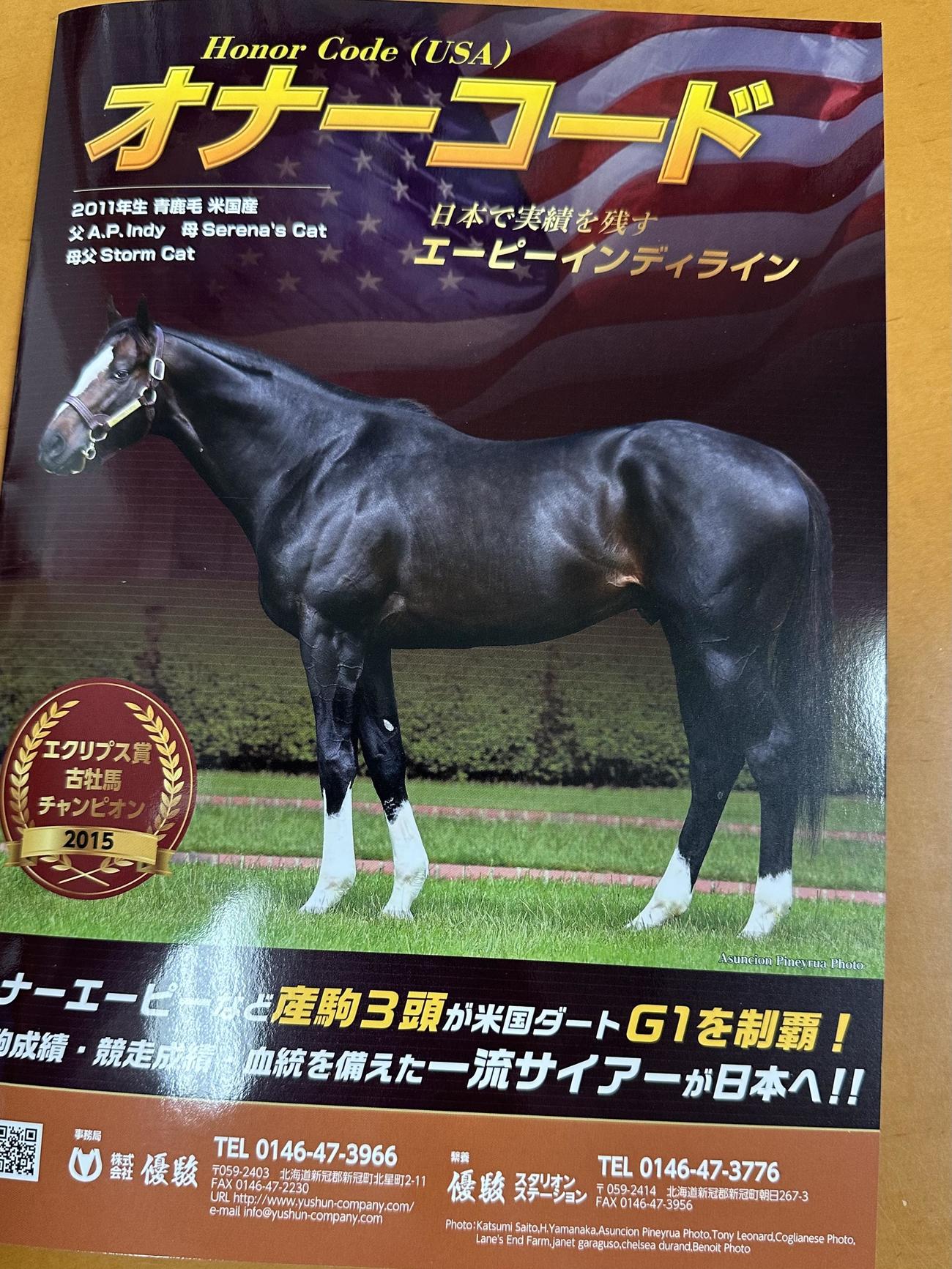 名馬の風格が漂うオナーコード