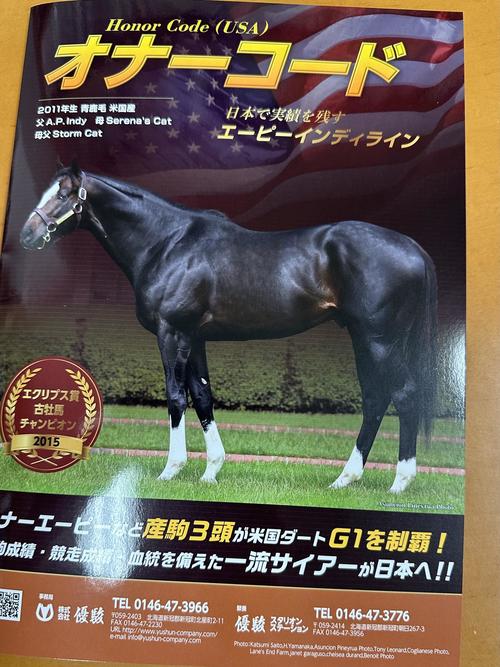 名馬の風格が漂うオナーコード