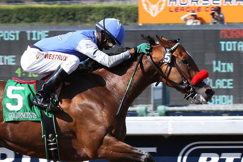 ケンタッキーダービー馬の父ゴールデンセンツ（（C）TIS）