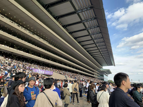 東京競馬場も秋競馬たけなわ