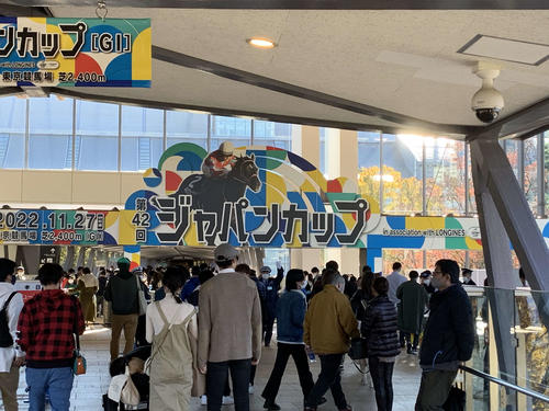 今年も盛り上がりそう。天気良好を祈る！