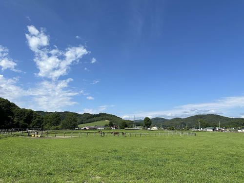 米国ともつながっている真夏の空