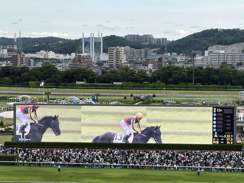 クロワデュノールも9月に欧州デビュー