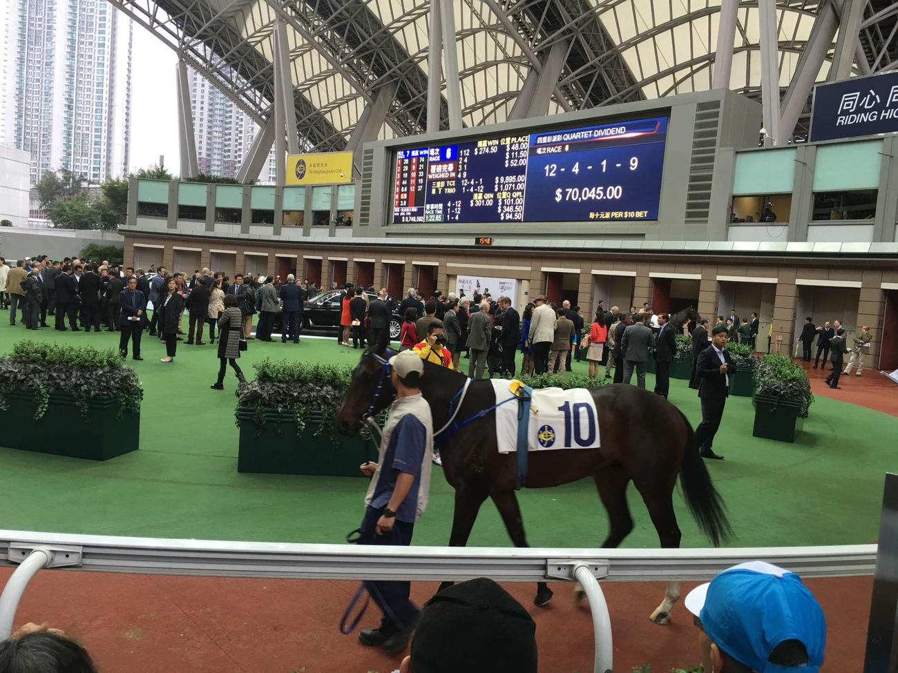 香港の競馬も佳境に