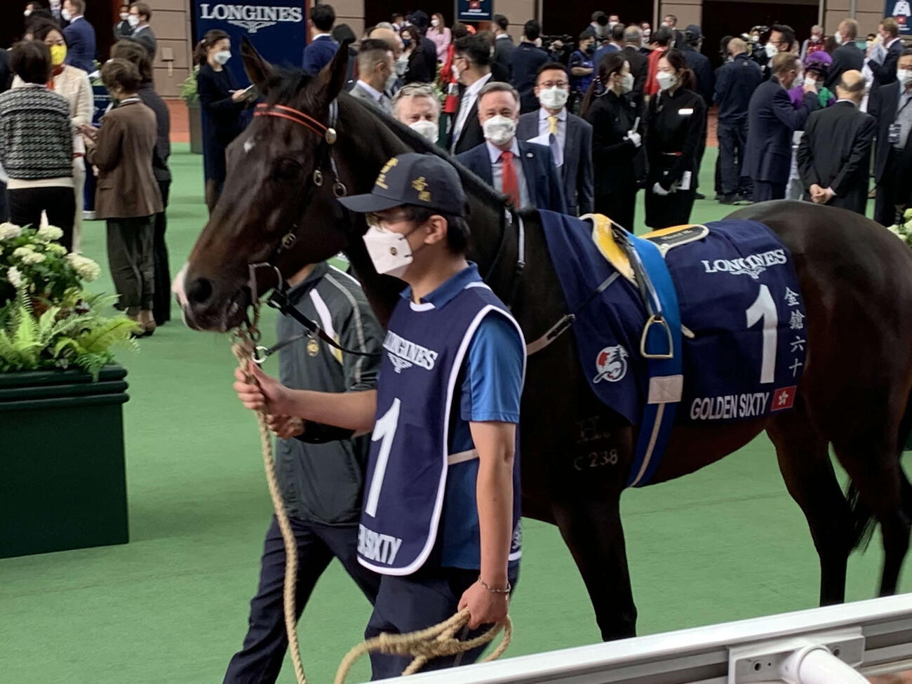 ゴールデンシックスティからマイル王を引き継ぐのはどの馬？